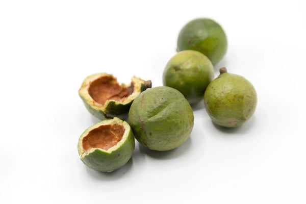 10 Ways Magic Macadamia Oil Benefits Your Skin - Mukti Organics