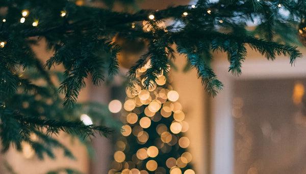 How To Prep Your Skin For The Festive Season - Mukti Organics