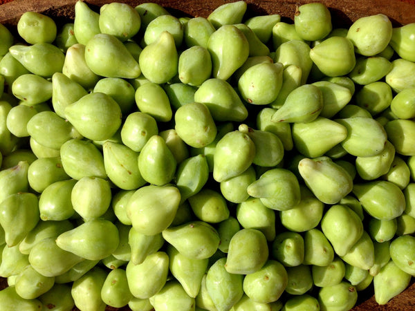 Kakadu Plum: Australia's Best-Kept Secret Botanical For Skincare - Mukti Organics